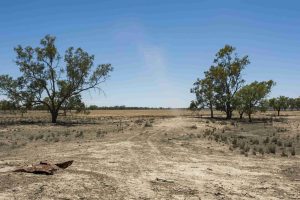 Environmental protection before afforestation