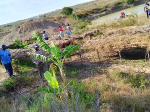 Community Engagement nurseries