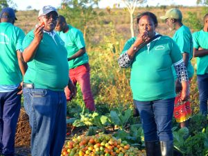 Livelihood diversification harvest